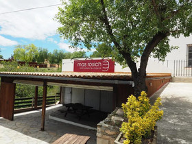 Mas Rosich