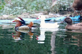 Hort de Mao Casa Vella