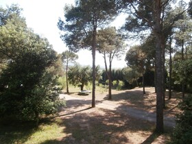 Villa Vinya