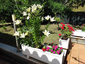 Casa Dolors En Calonge