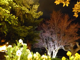 Hostal Vall d'Aneu