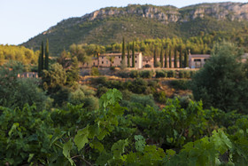 Hotel Terra Dominicata