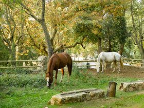 Hotel Rural y Apartamentos Villa Engracia