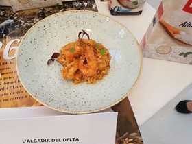 L'Algadir del Delta