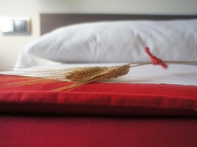 Seminari/Allotjaments