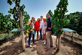 Cava & Hotel Mastinell