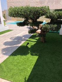Villa Mondrian