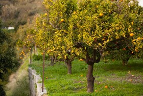 Finca La Herradura