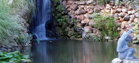 Don Carlos Resort & Spa