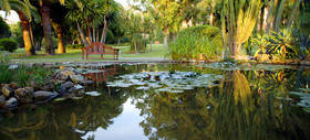 Don Carlos Resort & Spa