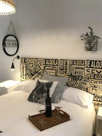 Apartamentos Boutique Villavieja