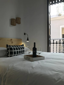 Apartamentos Boutique Villavieja