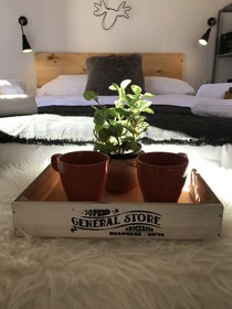 Apartamentos Boutique Villavieja