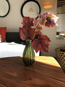 Apartamentos Boutique Villavieja