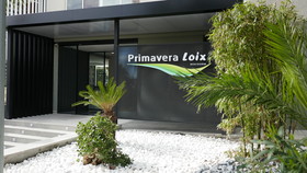 Primavera Loix