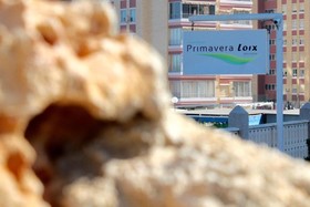Primavera Loix