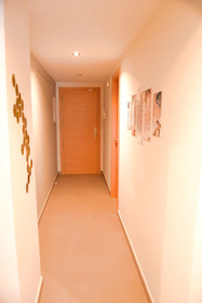 Edimar IX