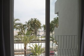 El Palmeral