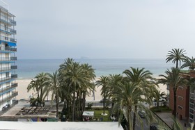 El Palmeral
