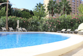 Flamingo Beach Resort