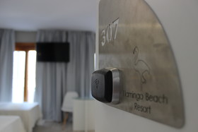 Flamingo Beach Resort