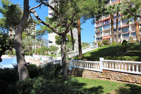 Playmon Park