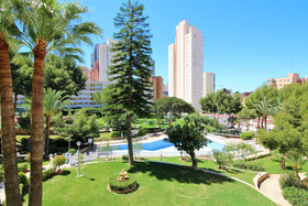 Playmon Park