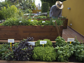 The Cook Book Gastro Boutique Hotel & SPA