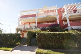Estrella Blanca