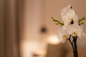 Room Boutique 32