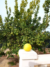 Fidalsa Expohouse