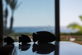 Vistas al mar en el Puerto de Jávea