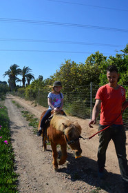 El Rancho