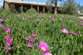 El Rancho