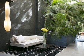 Hotel Areca