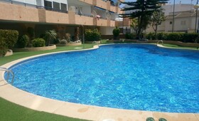 Estudio Ally