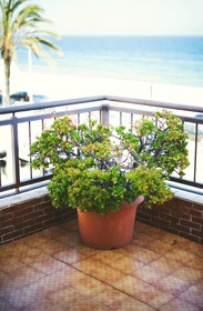 Hotel Miramar Badalona