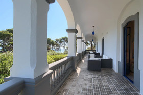 Ava Senia