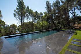 Ava Senia