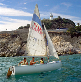 Estrella de Mar