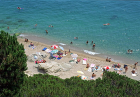 Estrella de Mar