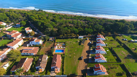 Studios Coll