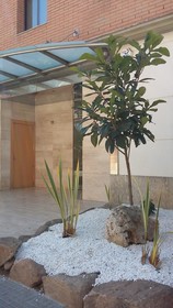 Apartamentos Selvapark