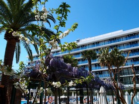 Hotel Anabel