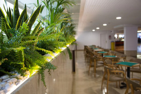 Don Juan Resort Affiliated by FERGUS