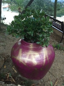 Villa Lara La Flor de Lloret