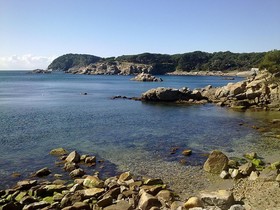 Ancora