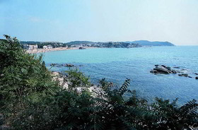 Ancora