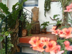 Catalina
