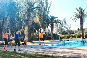 El Delfín Verde Platja d’Aro